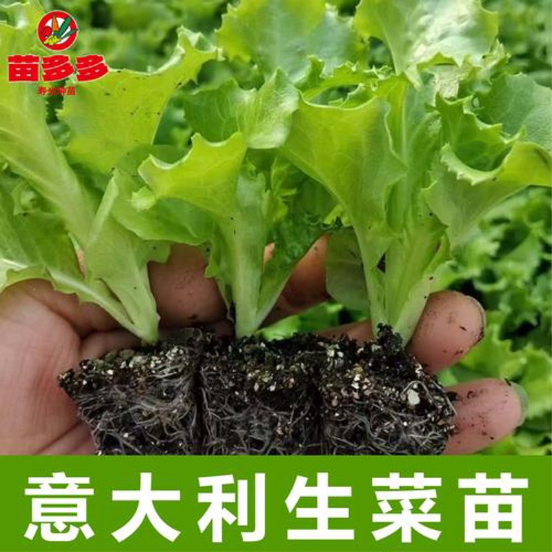 农技推广服务
