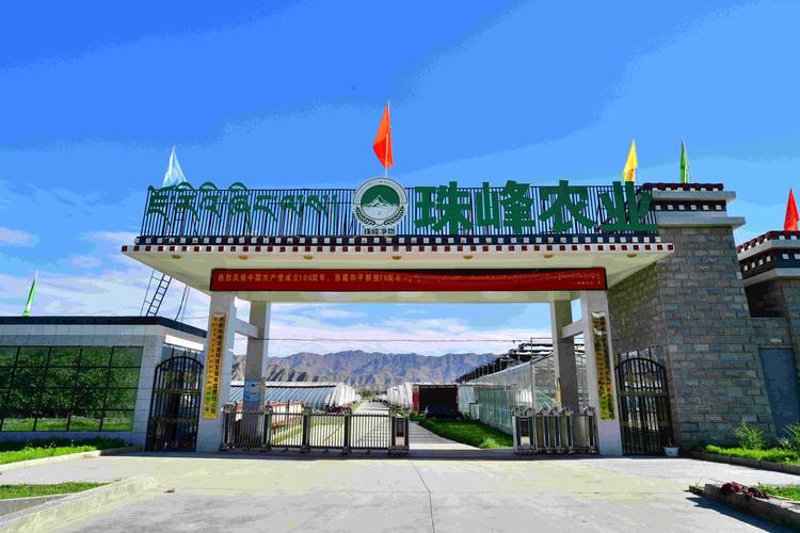 农产品深加工：案例分析